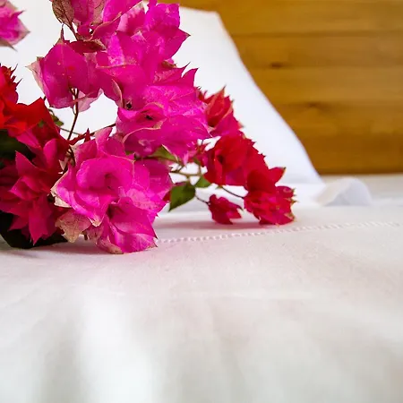 Aparthotel Bitacora